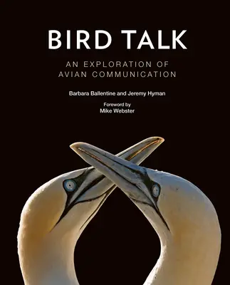 Bird Talk: O explorare a comunicării aviare - Bird Talk: An Exploration of Avian Communication
