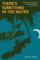 Există ceva în apă: Rasismul de mediu în comunitățile indigene și negre - There's Something in the Water: Environmental Racism in Indigenous & Black Communities