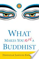 Ce te face să nu fii budist - What Makes You Not a Buddhist