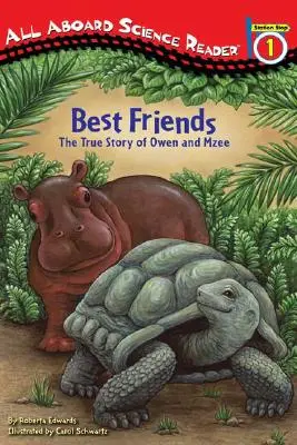 Cei mai buni prieteni: Povestea adevărată a lui Owen și Mzee - Best Friends: The True Story of Owen and Mzee