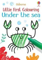 Micii primii colorați Sub mare - Little First Colouring Under the Sea
