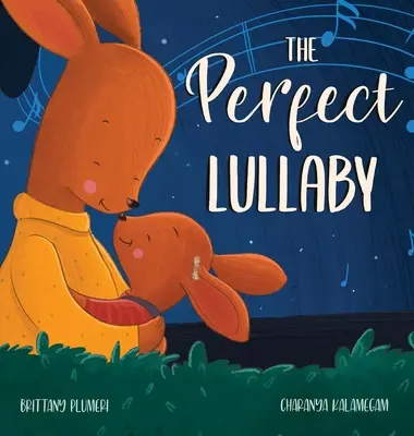 Cântecul de leagăn perfect - The Perfect Lullaby