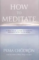 Cum să meditezi: Un ghid practic pentru a te împrieteni cu mintea ta - How to Meditate: A Practical Guide to Making Friends with Your Mind