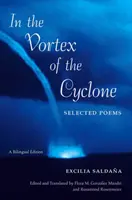 În vortexul ciclonului: Poezii alese - In the Vortex of the Cyclone: Selected Poems
