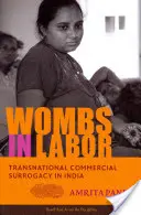 Wombs in Labor: Maternitatea surogat comercială transnațională în India - Wombs in Labor: Transnational Commercial Surrogacy in India