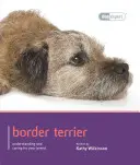Terrier de frontieră - Border Terrier