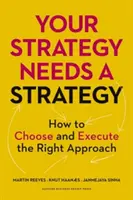 Strategia dvs. are nevoie de o strategie: Cum să alegeți și să executați abordarea corectă - Your Strategy Needs a Strategy: How to Choose and Execute the Right Approach