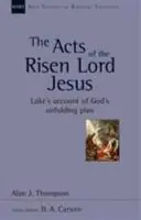 Faptele Domnului Isus înviat - relatarea lui Luca despre planul lui Dumnezeu în curs de desfășurare - Acts of the Risen Lord Jesus - Luke'S Account Of God'S Unfolding Plan