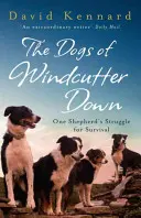 Câinii din Windcutter Down - Dogs of Windcutter Down