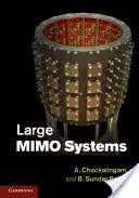 Sisteme Mimo de mari dimensiuni - Large Mimo Systems