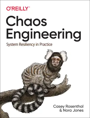 Ingineria haosului: Reziliența sistemelor în practică - Chaos Engineering: System Resiliency in Practice