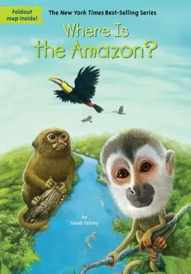 Unde este Amazonul? - Where Is the Amazon?