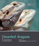 Dragon bărbos - Bearded Dragon