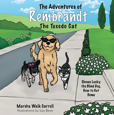 Aventurile motanului Rembrandt Tuxedo: Îi arată lui Lucky, câinele orb, cum să ajungă acasă - The Adventures of Rembrandt the Tuxedo Cat: Shows Lucky, the Blind Dog, How to Get Home