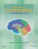 Mastering Neuroscience: Un ghid de laborator - Mastering Neuroscience: A Laboratory Guide