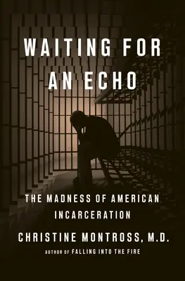 Waiting for an Echo: Nebunia încarcerării în America - Waiting for an Echo: The Madness of American Incarceration