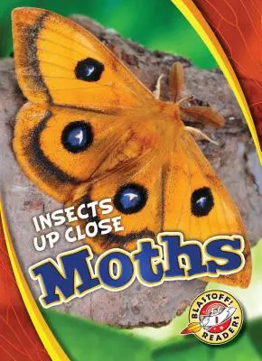 Molii - Moths