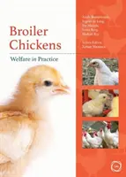 Broiler Chickens: Bunăstarea în practică - Broiler Chickens: Welfare in Practice