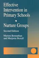 Intervenție eficientă în școlile primare: Grupuri de nutriție - Effective Intervention in Primary Schools: Nurture Groups