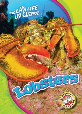 Homari - Lobsters