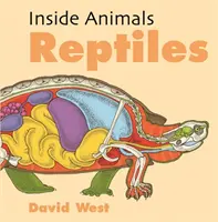 Reptile - Reptiles