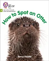 Cum să observi o vidră - Faza 4 - How to Spot an Otter - Phase 4