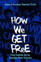Cum ne eliberăm: Feminismul negru și colectivul râului Combahee - How We Get Free: Black Feminism and the Combahee River Collective