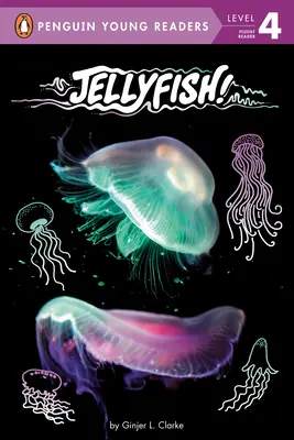Meduze! - Jellyfish!