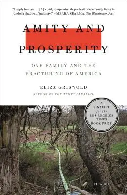 Amitate și prosperitate: O familie și fracturarea Americii - Amity and Prosperity: One Family and the Fracturing of America