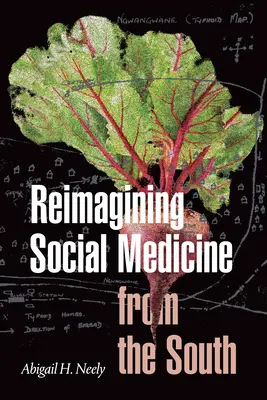 Reimaginarea medicinei sociale din sud - Reimagining Social Medicine from the South
