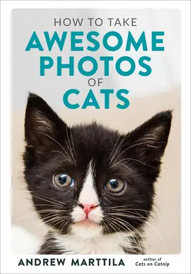 Cum să faci fotografii grozave cu pisici - How to Take Awesome Photos of Cats