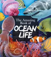 Cartea uimitoare a vieții oceanice - Amazing Book of Ocean Life