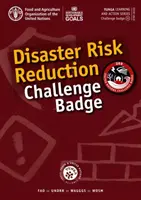 Insigna Challenge pentru reducerea riscurilor de dezastre - Disaster Risk Reduction Challenge Badge