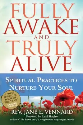 Pe deplin treaz și cu adevărat viu: Practici spirituale pentru a-ți hrăni sufletul - Fully Awake and Truly Alive: Spiritual Practices to Nurture Your Soul
