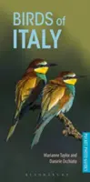 Păsări din Italia - Birds of Italy