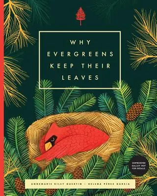 De ce își păstrează frunzele coniferele - Why Evergreens Keep Their Leaves