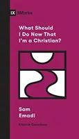 Ce ar trebui să fac acum că sunt creștin? - What Should I Do Now That I'm a Christian?