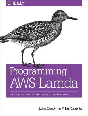 Programarea Aws Lambda: Construiți și implementați aplicații fără server cu Java - Programming Aws Lambda: Build and Deploy Serverless Applications with Java