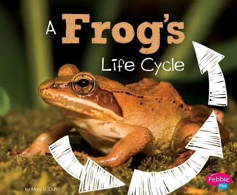 Ciclul de viață al unei broaște - A Frog's Life Cycle