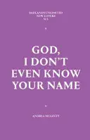 Doamne, nici măcar nu-ți știu numele - God, I Don't Even Know Your Name