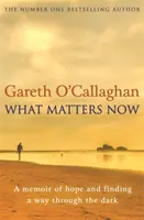 Ce contează acum - O amintire despre speranță și găsirea unei căi prin întuneric - What Matters Now - A Memoir of Hope and Finding a Way Through the Dark
