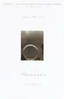 Plainwater: Eseuri și poezii - Plainwater: Essays and Poetry