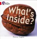 Ce este înăuntru? - What's Inside?