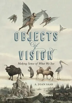 Obiecte ale vederii: Making Sense of What We See - Objects of Vision: Making Sense of What We See