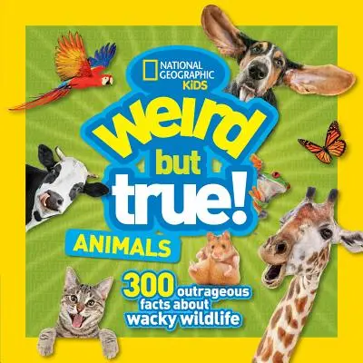 Animale ciudate, dar adevărate - Weird But True Animals