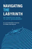 Navigând prin labirint: Un ghid executiv pentru gestionarea datelor - Navigating the Labyrinth: An Executive Guide to Data Management
