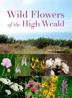 Flori sălbatice din High Weald - Wild Flowers of the High Weald