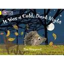 A fost o noapte rece și întunecată - It Was a Cold Dark Night