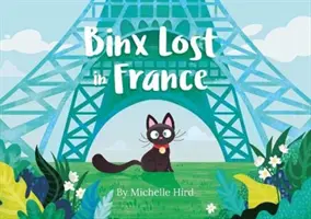 Binx pierdut în Franța - Binx Lost in France