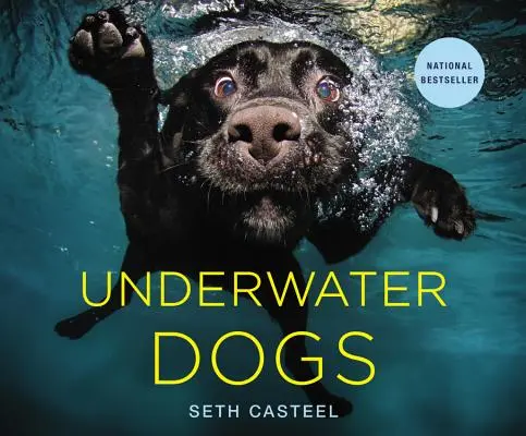 Câini subacvatici - Underwater Dogs